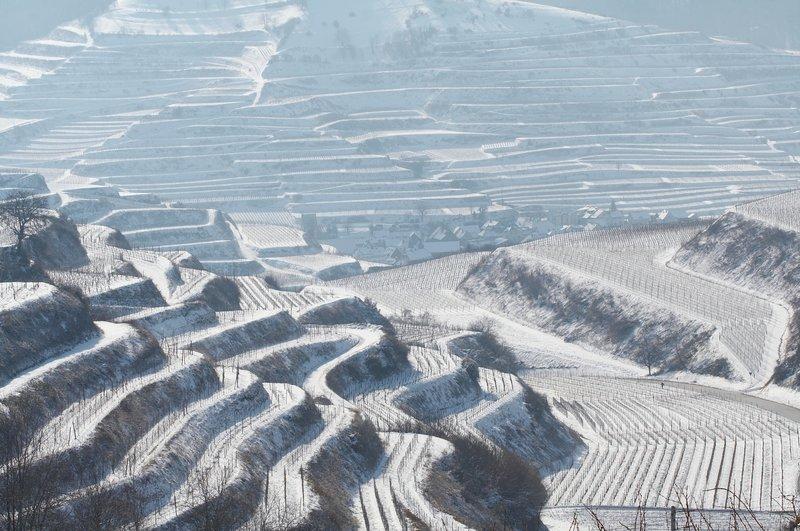 福格茨堡 Schwarzer Adler酒店 外观 照片