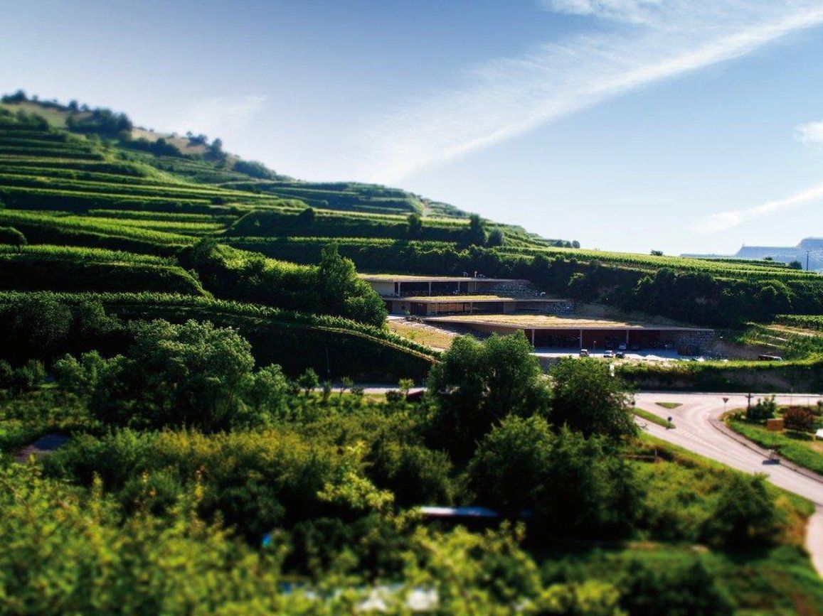 福格茨堡 Schwarzer Adler酒店 便利设施 照片