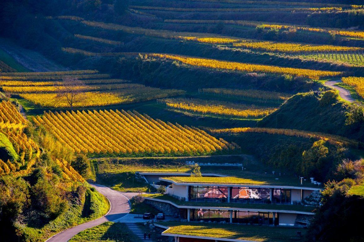 福格茨堡 Schwarzer Adler酒店 便利设施 照片