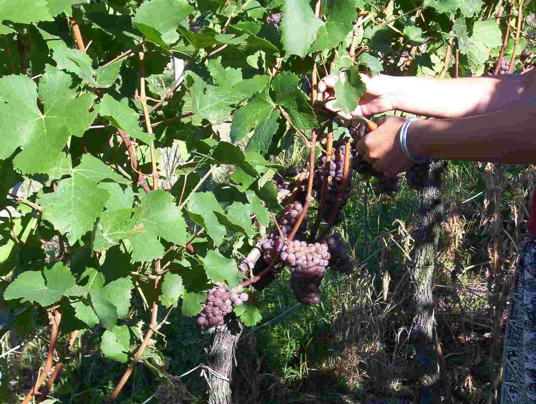 福格茨堡 Schwarzer Adler酒店 便利设施 照片
